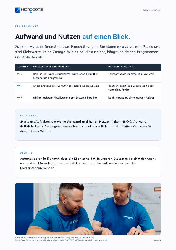 Seite 3 aus dem Ratgeber Der KI-Check